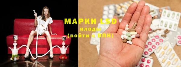 хмурый Алзамай