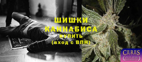 хмурый Алзамай