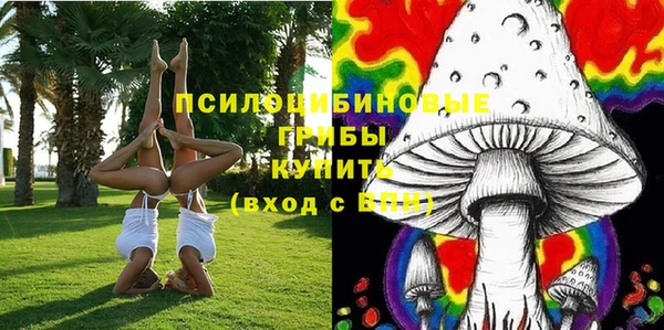 хмурый Алзамай