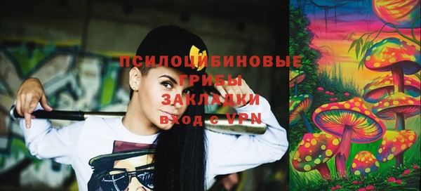 ПСИЛОЦИБИНОВЫЕ ГРИБЫ Алексин