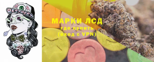 хмурый Алзамай