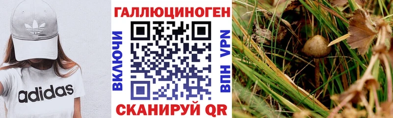 Галлюциногенные грибы мухоморы  Апшеронск 